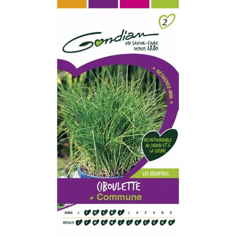 Gondian - ciboulette commune (1/3)