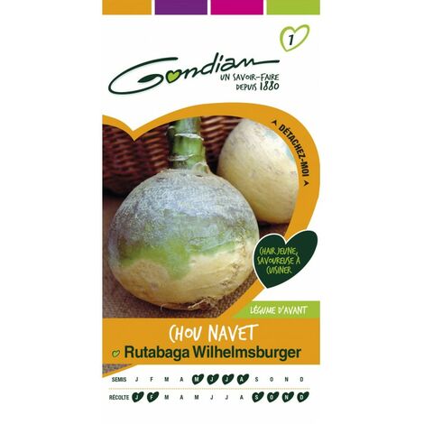 Gondian - Chou Navet Rutabaga Wilhelmsburger