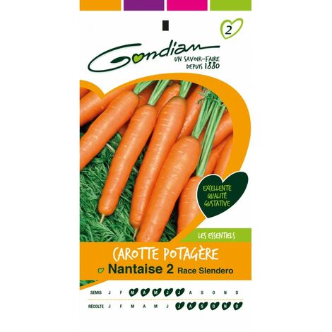 Gondian - Carotte potagère Nantaise 2 (1/3)