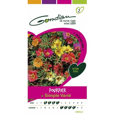 Gondian - Pourpier Simple varié (1/3)