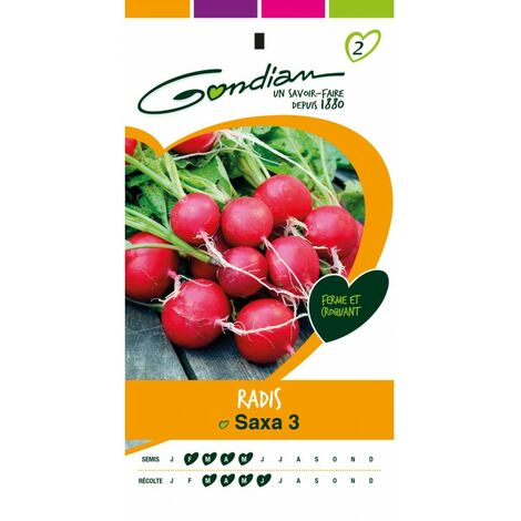 Gondian - Radis Saxa 3 (1/3)