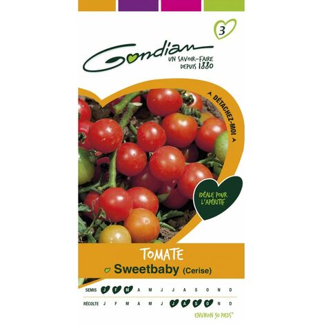 Gondian - Tomate Sweetbaby (1/3)