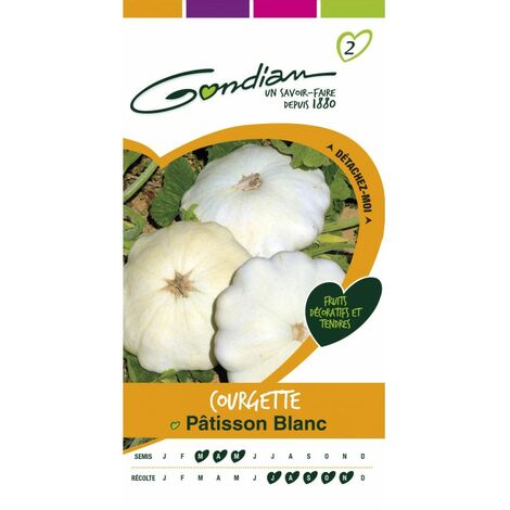 Gondian - Courgette Patisson blanc (1/3)