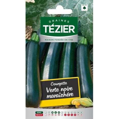 Tezier Courgette Verte Noire Maraichere