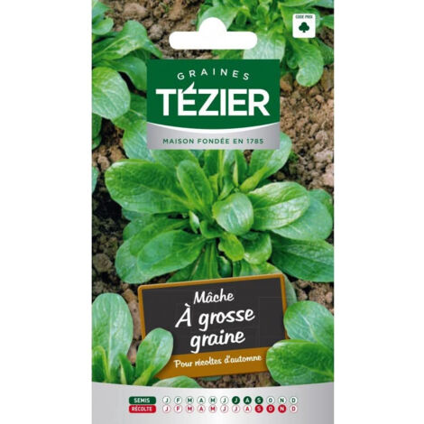Graines Mâche Tezier à Grosse Graine (1/4)