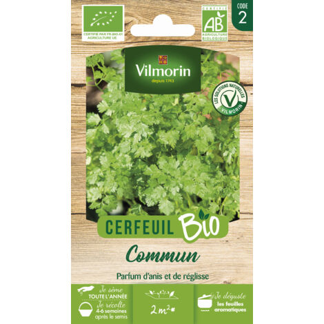 Vilmorin - Cerfeuil commun (1/2)