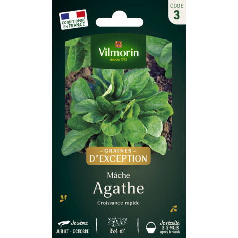 Mâche Agathe Vilmorin (1/2)