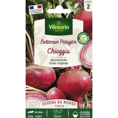 Betterave Potagère Chioggia - Cuisine du Monde Vilmorin (1/3)