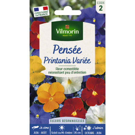 Pensée Printania Variée Vilmorin