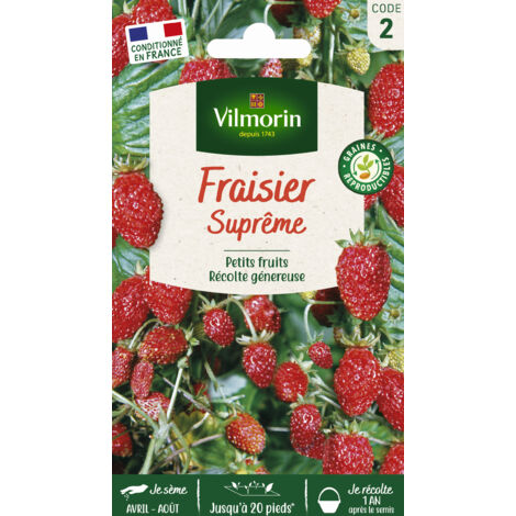 Fraisier 4 saisons suprême – Semis d'avril à août – Rendement jusqu'à 25 pieds – Saveur de fraise des bois – Vilmorin