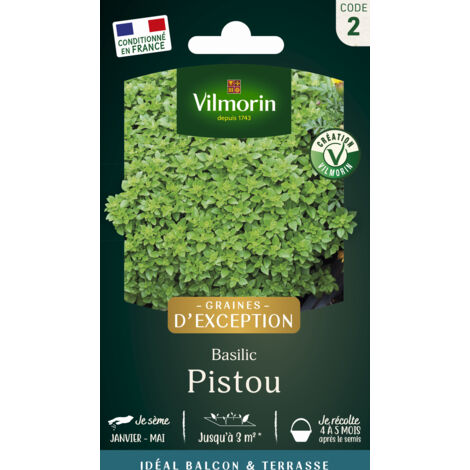 Vilmorin - Basilic Pistou (1/2)