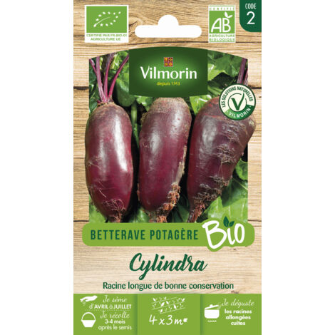Vilmorin - Betterave Cylindra Bio (1/2)