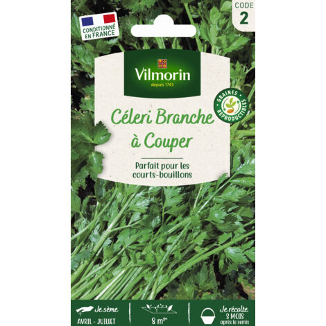 Céleri Branche à Couper Vilmorin