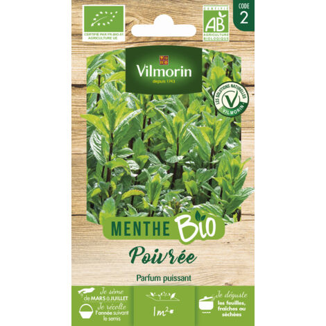 Vilmorin Menthe Poivree bio (1/2)