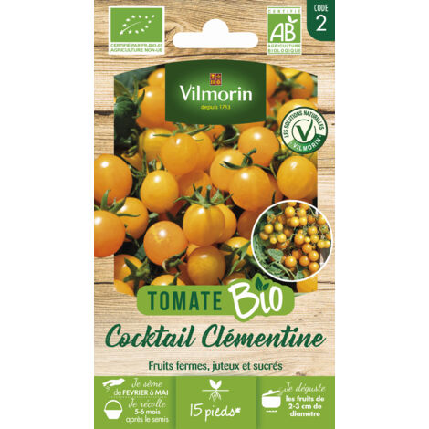 Vilmorin Tomate Clementine bio (1/2)