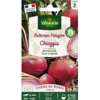 Betterave Potagère Chioggia - Cuisine du Monde Vilmorin