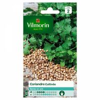 Vilmorin - Coriandre Cultivée