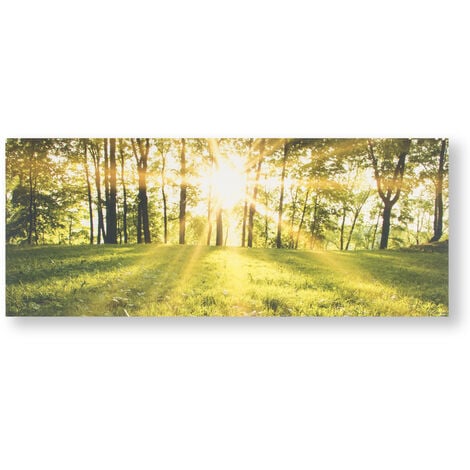 Art for the Home Tranquil Forest Fields Printed Canvas (Was £30) - Green