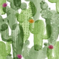 Superfresco Easy Green cactus Floral Wallpaper