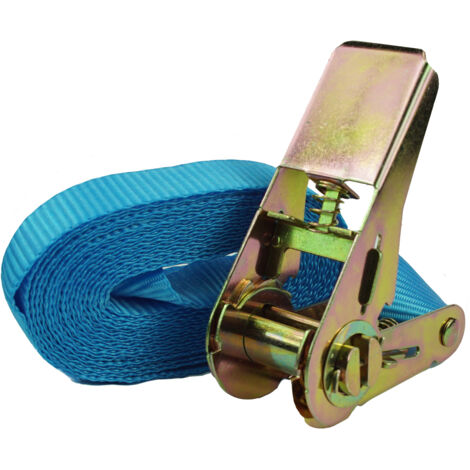 4x Profi Ratschen Spanngurt Spanngurte Zurrgurt 1-tlg 4m 0,8t 0,8to 800kg TÜV/GS BLAU