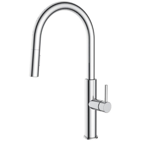 Swiss Aqua Technologies Mitigeur cuisine avec douchette extractible 2 jets, chrome (SATBSD286) (1/2)