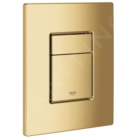 Plaque de déclenchement pour chasse d’eau à 2 volumes – Montage horizontal/vertical – Matériau ABS – GROHE EcoJoy – 38732GL0