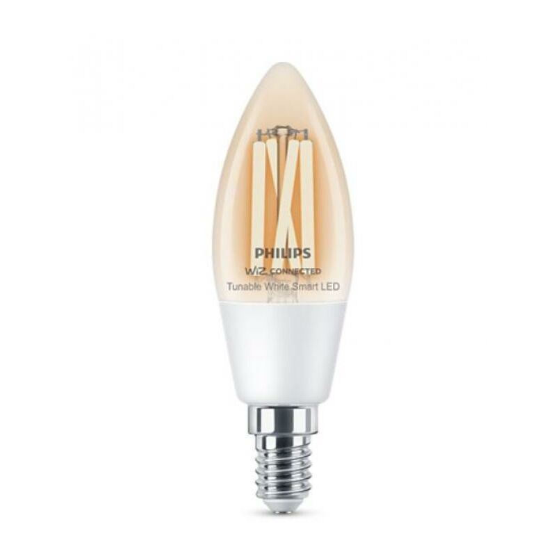 Philips Hue Expansion Pack - White - Filament Globe petit - E27 - 2 lampes  avec gradateur
