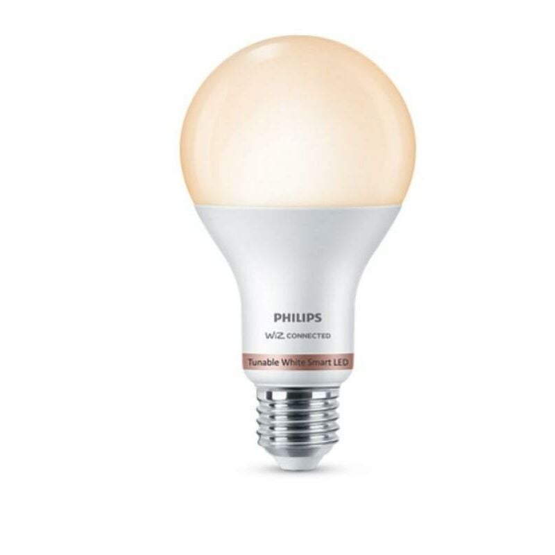 Ampoule led a67 philips consumer 929002449621 37252800-e27 13w 2700-6500k