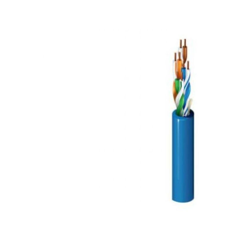 Lot 10 Câbles Ethernet Cat5e 0.5m Multicolores UTP CCA + 100 Attaches - Réseau Haute Performance