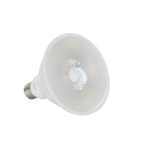 Ampoule spot PAR38 120 LEDs 220 Volts culot E27 éclairage blanc