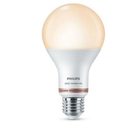 Ampoule led a67 philips consumer 929002449621 37252800-e27 13w 2700-6500k