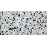 Dalles à coller en liège pour décorer ses murs, 600 x 300 x 3mm