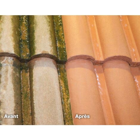 Traitement anti-mousse et algicide 20L - COMUS