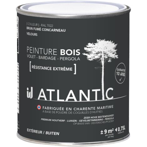 Peinture bois extérieurs - RAL 7033 Brun fumé Concarneau - 750ML - ATLANTIC (1/3)