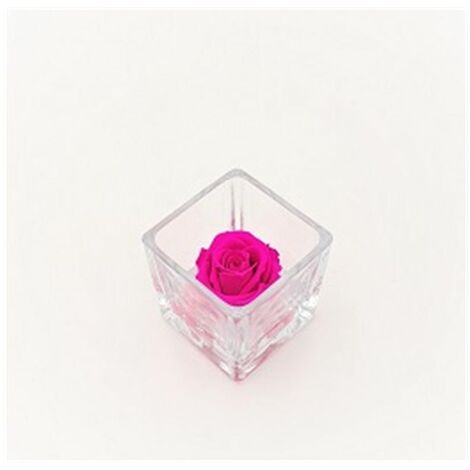 Cubo in vetro con rosa stabilizzata mini