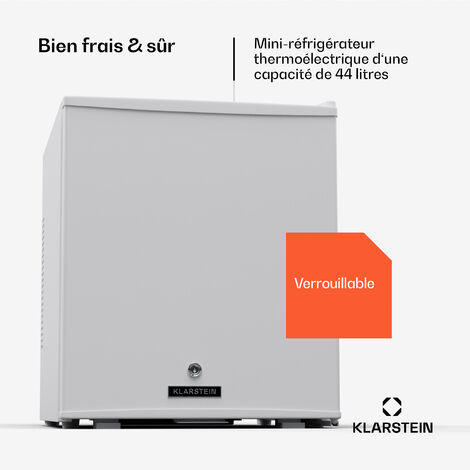 Mini frigo de chambre 128L (8L+120L) - Réfrigérateur à boissons