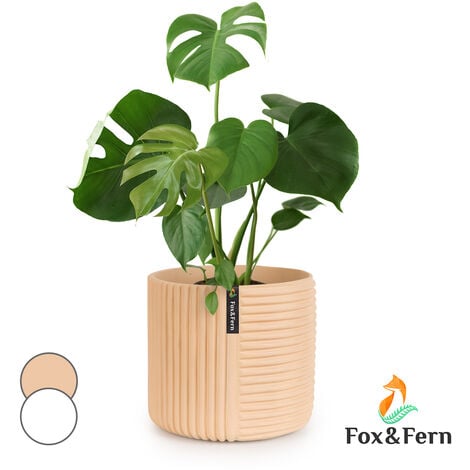 Des pots pour les plantes d'intérieur