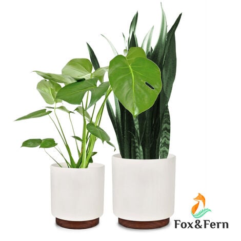Fox & Fern Pot de Fleur Interieur, Lot de 2 Pot pour Plantes en Polystone,  Cache