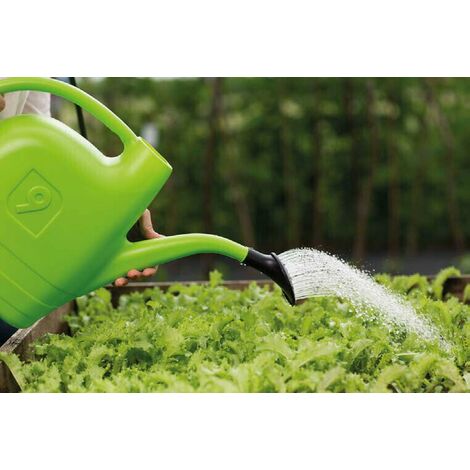 Innaffiatoio In Plastica 2 Litri Per Piante Giardino