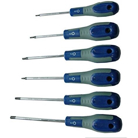 Giraviti Torx TX 10 15 20 25 30 40 Testa Magnetica Cacciaviti Ergonomici Set 6Pz (1/3)