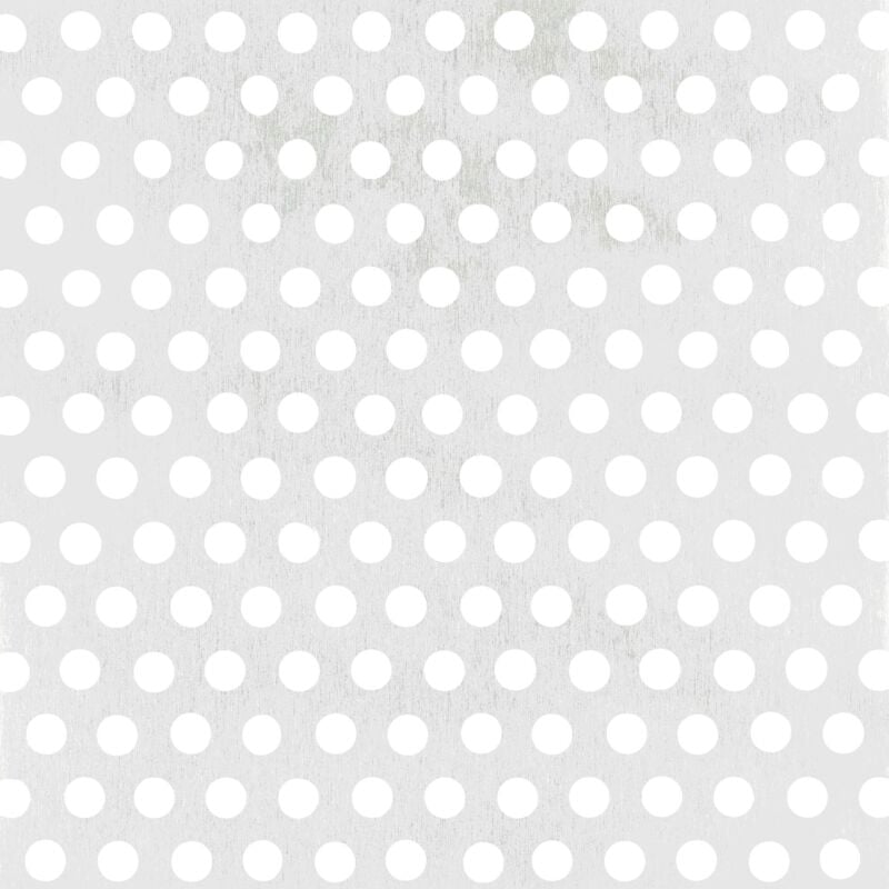 GAH-ALBERTS 466961 Lamiera forata  perforazione rotonda  alluminio, anodizzato argento  200 x 1000 x 0,8 mm