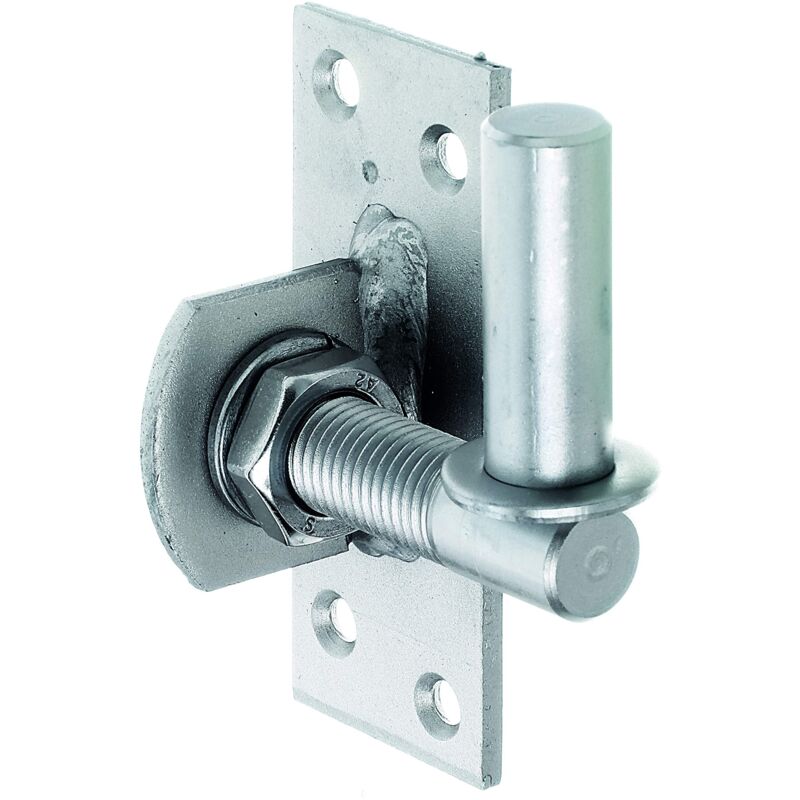 GAH-ALBERTS 361488 Cardine da avvitare, Acciaio, ø 16 mm / 100 x 40 mm