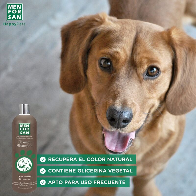 Menforsan Shampoo per Cani dal Manto Marrone, 1L, Intensifica il Colore  Naturale