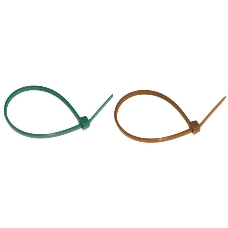 100 Fascette di Plastica Verdi per Giardino, Fascette per Cavi e Tubi, per Elettricisti e Giardinaggio (2.5mm X 150mm
