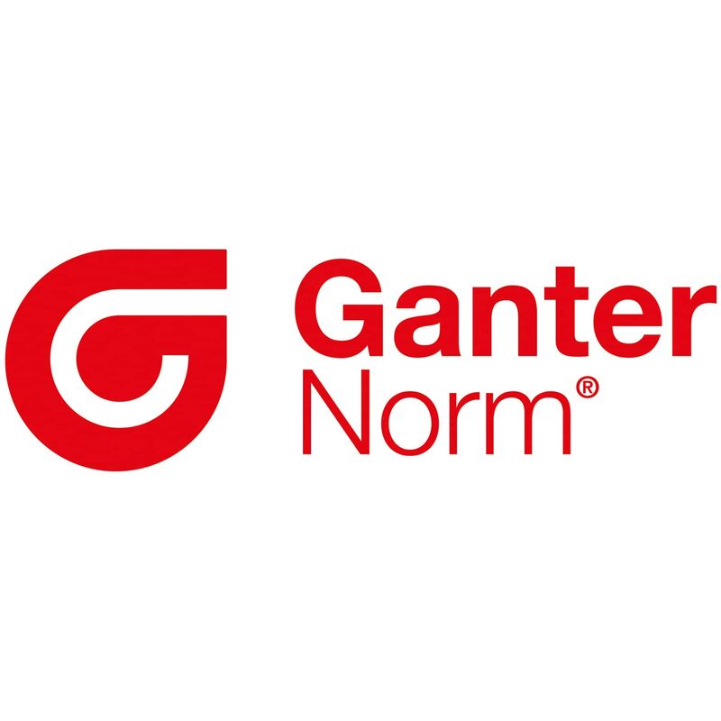 zincato passivato Ganter Norm elementi GN 810  Blu 1 pezzi  130 C   vertikalspanner con bilancia vera Fuss