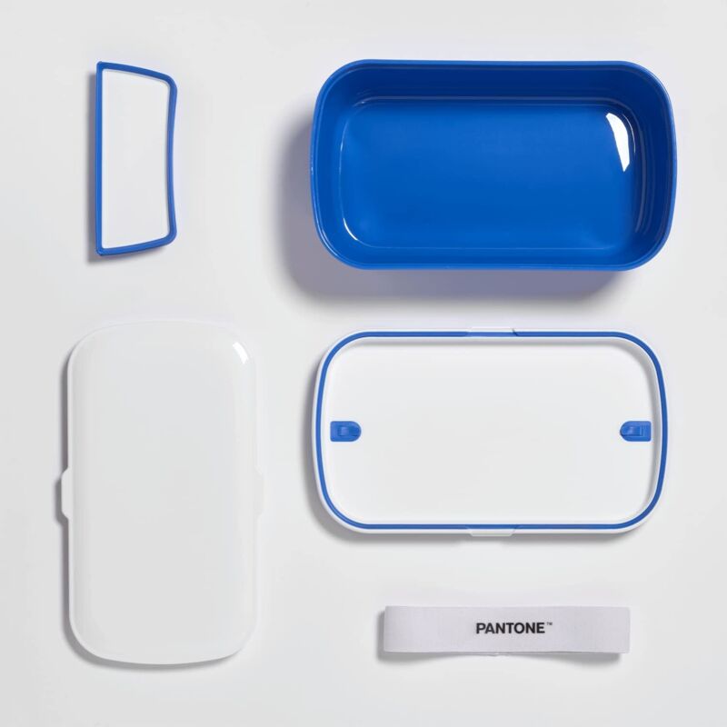 Porta Pranzo Contenitore Per Il Pranzo Bento Portapranzo A Prova Di Perdite Con Scomparti Portapranzo Da 1300 Ml Adulti Bambini Per Microonde E Lavastoviglie Scuola Lavoro Picnic Viaggi (Grigio Borsa Termica Porta