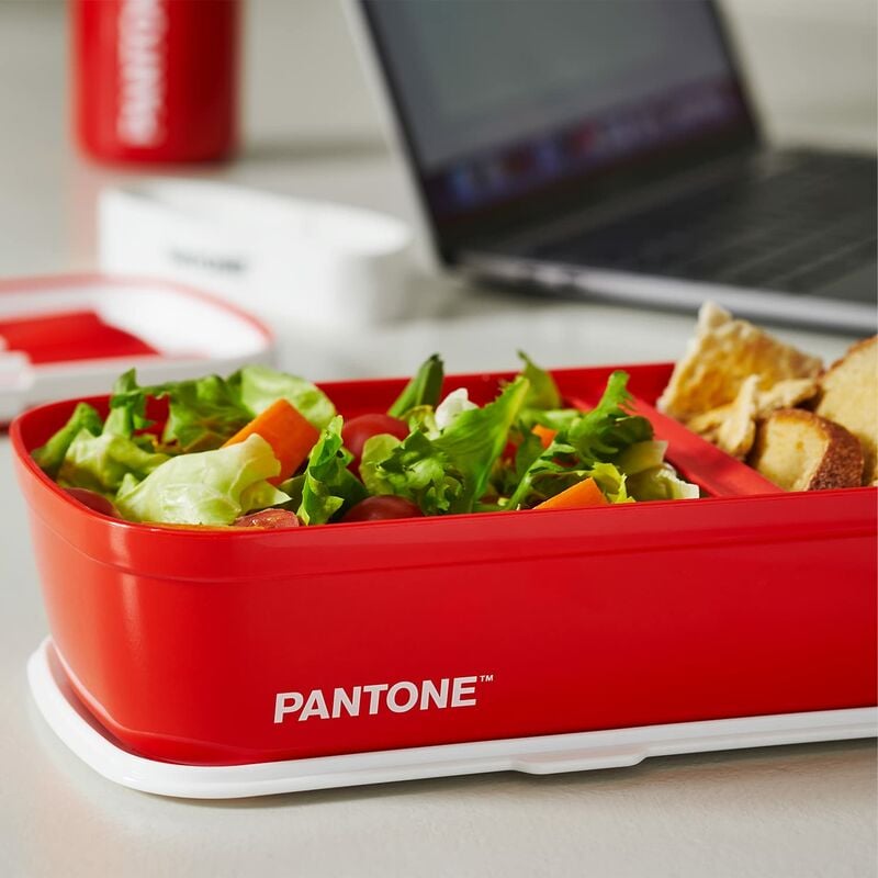 Pantone™ - Lunch Box, porta pranzo stile bento con divisorio interno.  Ideale per l'ufficio o la scuola. 12x7x20,7 - Verde Scuro