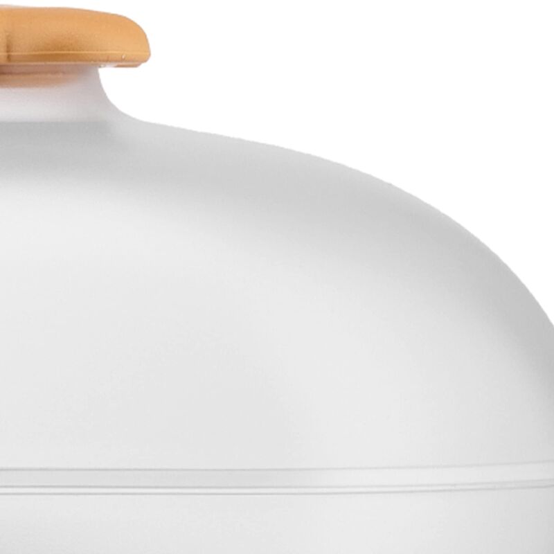 Alessi Mary Biscuit ASG07 I - Biscottiera In Resina Termoplastica Con Coperchio, Manico A Forma Di Biscotto, Design Di Stefano Giovannoni, Colore Ghiaccio