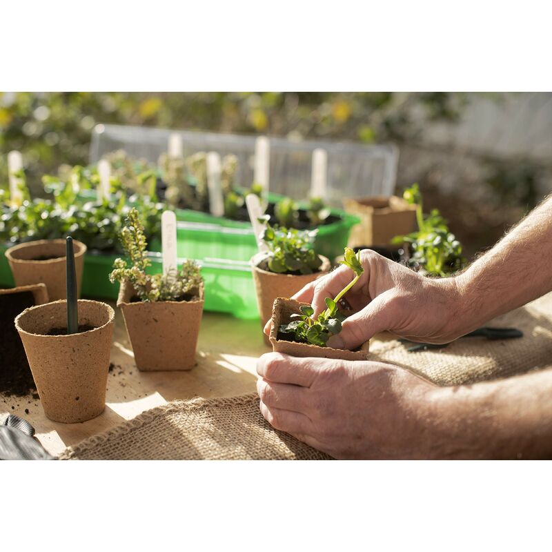 Vasetti Per Semina Biodegradabili | 48 Pezzi 6x6 Cm | Senza Torba, In Cellulosa - Foto 6