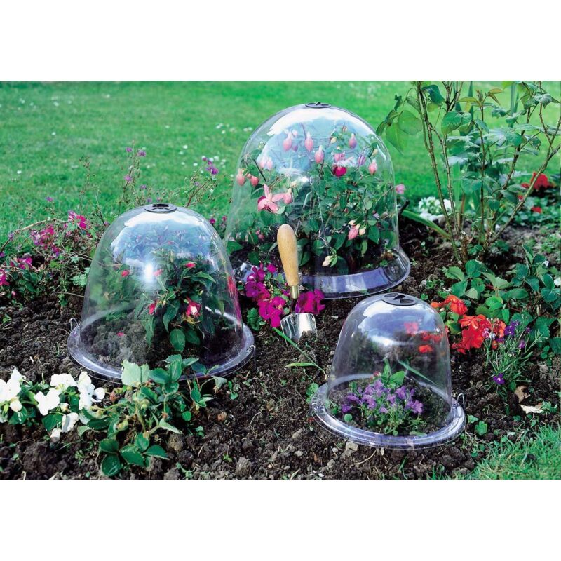 Campane Per Piantine Haxnicks - Confezione Da 3, Trasparenti, Per Orto E Giardino - Foto 4